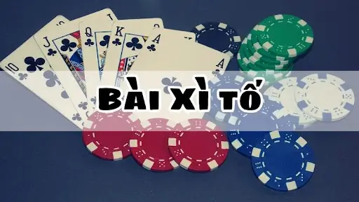 bai-xi-to-tai-ae888